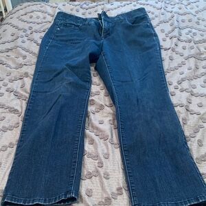 Lane Bryant Women's Straight Leg Jeans - Dark Blue